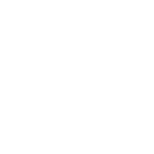 Level Life