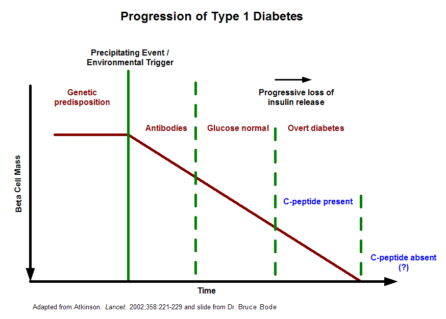 Type 1 Diabetes Graph