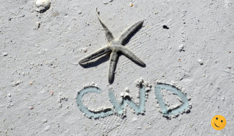 cwd on the beach